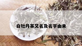 白牡丹茶又名及名字由来