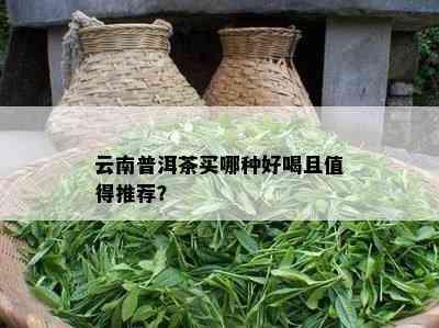 云南普洱茶买哪种好喝且值得推荐？