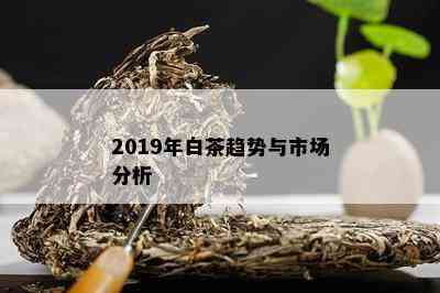 2019年白茶趋势与市场分析