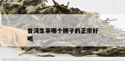 普洱生茶哪个牌子的正宗好喝