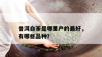 普洱白茶是哪里产的更好，有哪些品种？