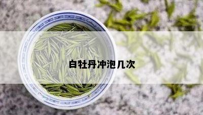 白牡丹冲泡几次