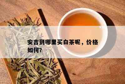 安吉到哪里买白茶呢，价格如何？