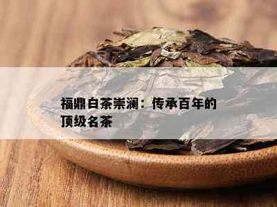 福鼎白茶崇澜：传承百年的顶级名茶