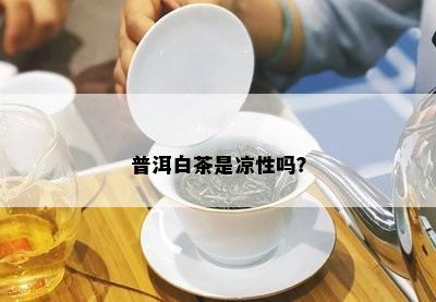 普洱白茶是凉性吗？