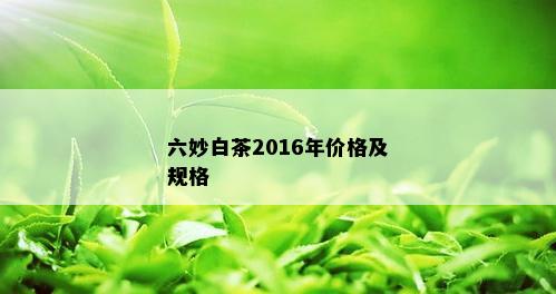 六妙白茶2016年价格及规格