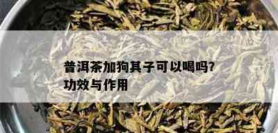 普洱茶加狗其子可以喝吗？功效与作用