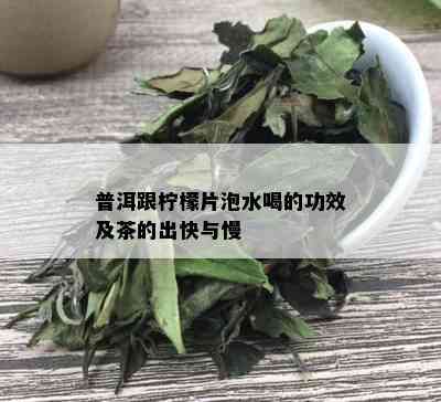 普洱跟柠檬片泡水喝的功效及茶的出快与慢