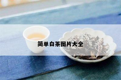 简单白茶图片大全