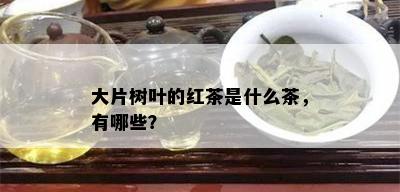 大片树叶的红茶是什么茶，有哪些？