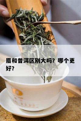 眉和普洱区别大吗？哪个更好？