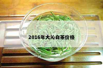 2016年大沁白茶价格