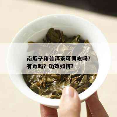 南瓜子和普洱茶可同吃吗？有吗？功效如何？