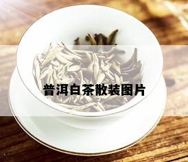 普洱白茶散装图片