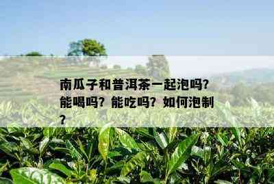 南瓜子和普洱茶一起泡吗？能喝吗？能吃吗？如何泡制？