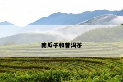 南瓜子和普洱茶