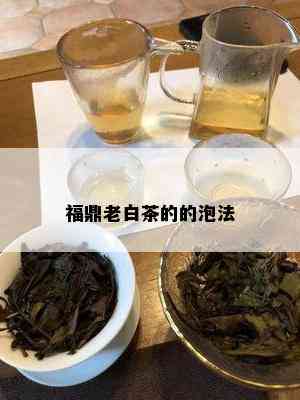 福鼎老白茶的的泡法