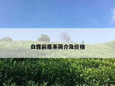 白露前眉茶简介及价格