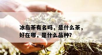 冰岛茶有名吗，是什么茶，好在哪，是什么品种？