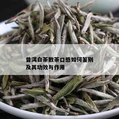 普洱白茶散茶口感如何鉴别及其功效与作用