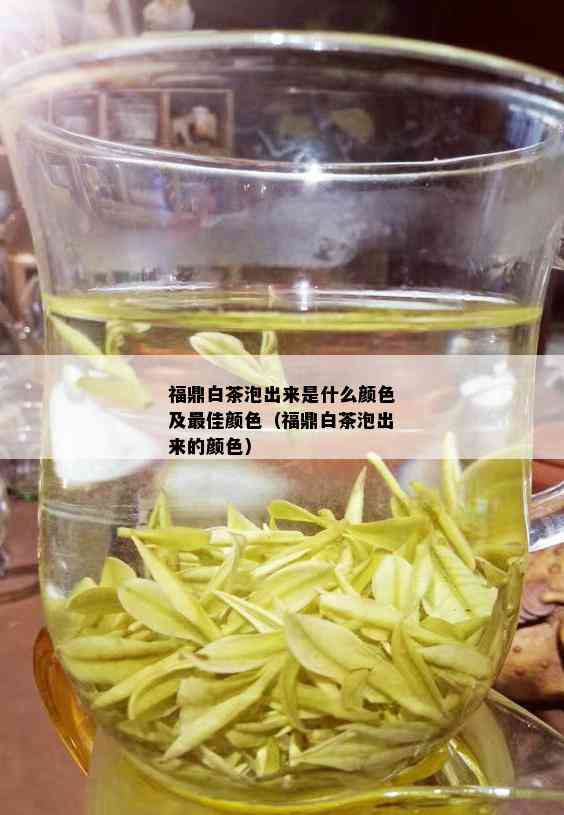 福鼎白茶泡出来是什么颜色及更佳颜色（福鼎白茶泡出来的颜色）