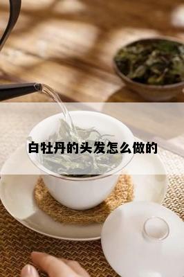 白牡丹的头发怎么做的