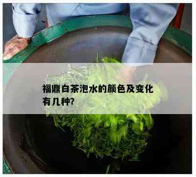 福鼎白茶泡水的颜色及变化有几种？