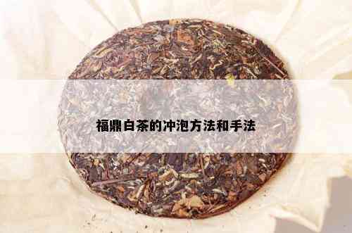 福鼎白茶的冲泡方法和手法