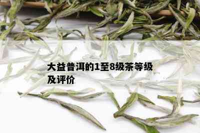 大益普洱的1至8级茶等级及评价