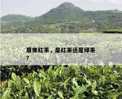 眉像红茶，是红茶还是绿茶？