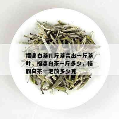 福鼎白茶几斤茶青出一斤茶叶，福鼎白茶一斤多少，福鼎白茶一泡放多少克