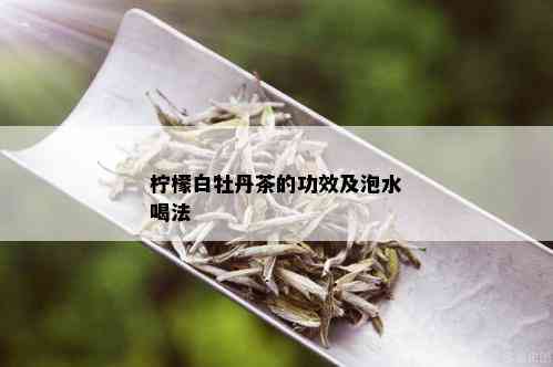 柠檬白牡丹茶的功效及泡水喝法