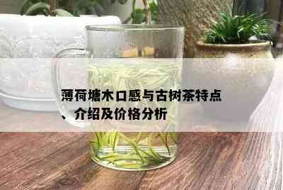 薄荷塘木口感与古树茶特点、介绍及价格分析