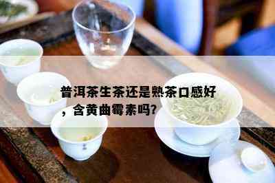 普洱茶生茶还是熟茶口感好，含黄曲霉素吗？