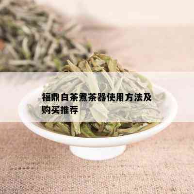 福鼎白茶煮茶器使用方法及购买推荐