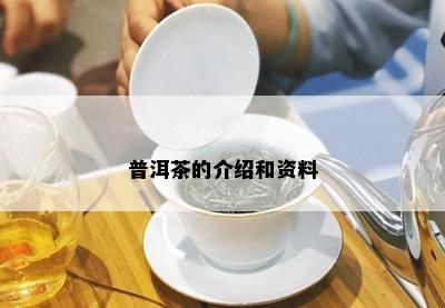 普洱茶的介绍和资料