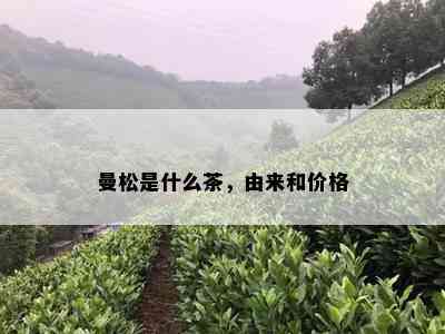 曼松是什么茶，由来和价格