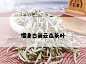 福鼎白茶云森茶叶