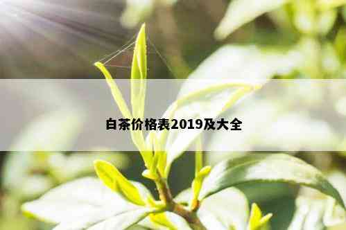 白茶价格表2019及大全