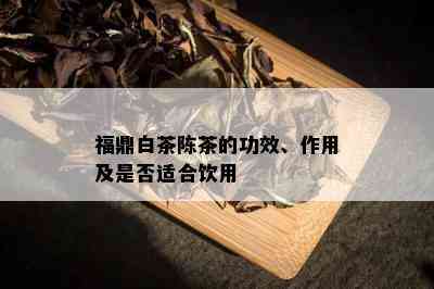 福鼎白茶陈茶的功效、作用及是否适合饮用