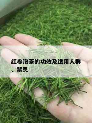 红参泡茶的功效及适用人群、禁忌