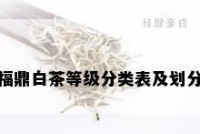 福鼎白茶等级分类表及划分