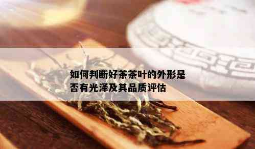 如何判断好茶茶叶的外形是否有光泽及其品质评估