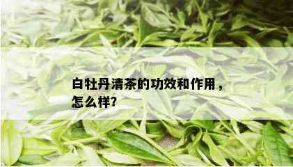 白牡丹清茶的功效和作用，怎么样？