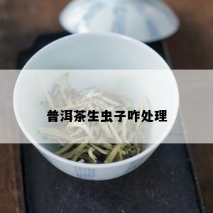 普洱茶生虫子咋处理