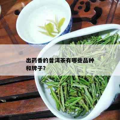 出香的普洱茶有哪些品种和牌子？