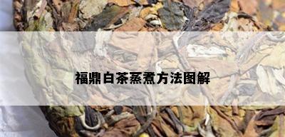 福鼎白茶蒸煮方法图解