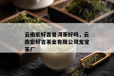 云南宏好吉普洱茶好吗，云南宏好吉茶业有限公司龙宝茶厂