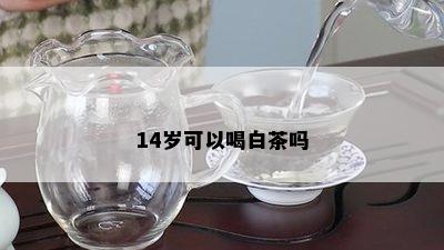 14岁可以喝白茶吗