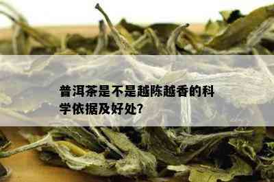 普洱茶是不是越陈越香的科学依据及好处？